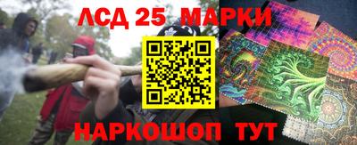 индика Будённовск