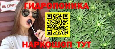 индика Будённовск