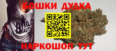 индика Будённовск