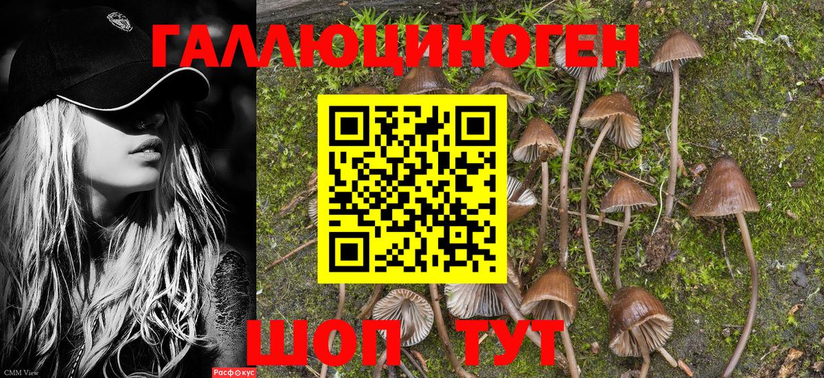 Псилоцибиновые грибы ЛСД  Галлюциногенные грибы MAGIC MUSHROOMS  Строитель  Вход с VPN 